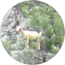 Frank Palma profile picture
